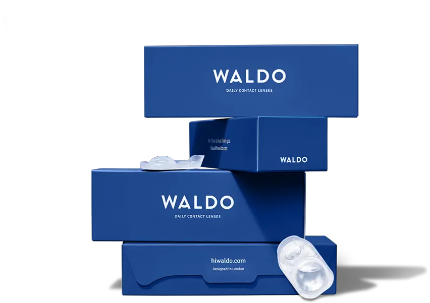 Waldo Daily Contact Lenses Waldo Contact Lenses Png Waldo Png