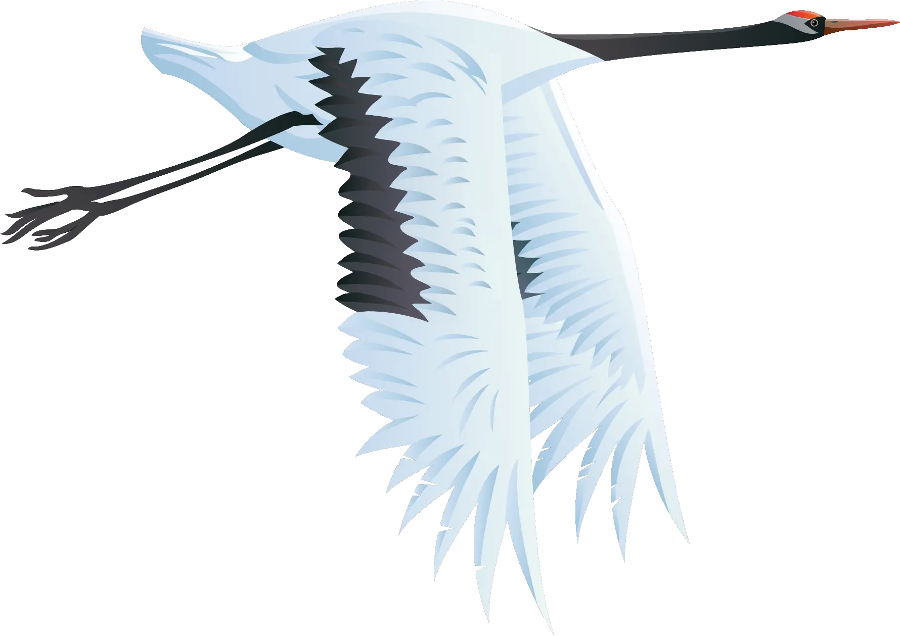 Crane Bird Transparent Background Transparent Crane Bird Clipart Png Bird Transparent Background