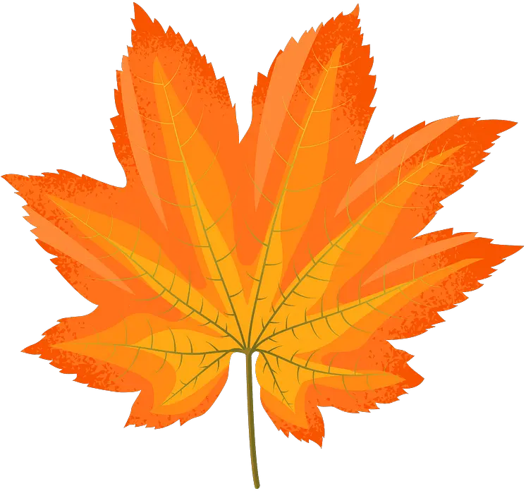 Download Vine Maple Yellow Leaf Clipart Fall Maple Leaf Vine Maple Png Falling Leaves Png