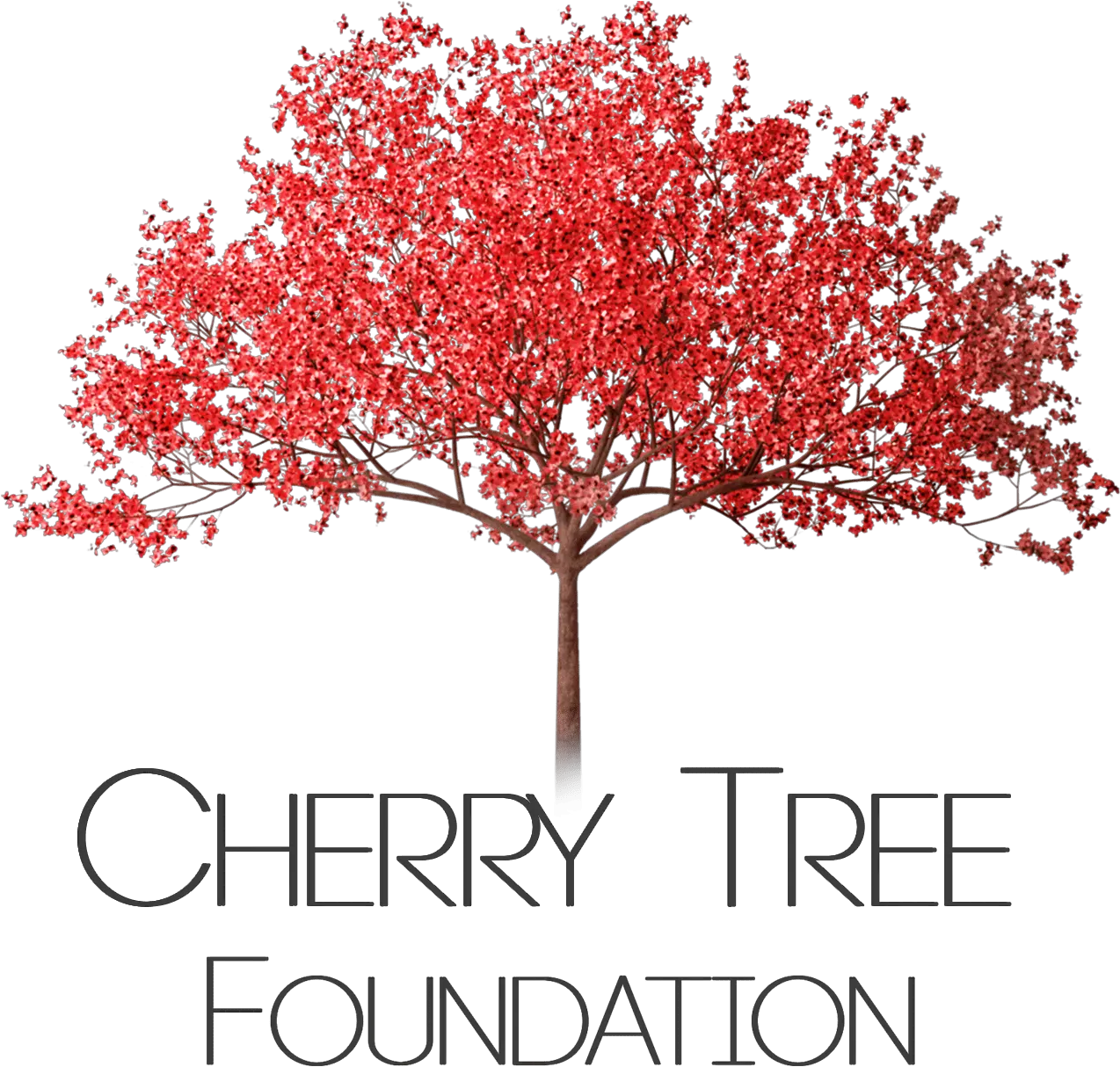 Download Hd Cherry Tree Png Pink Flowering Tree Png Transparent Cherry Blossom Tree Cherry Tree Png