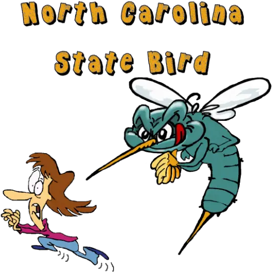 Mosquito Clipart Summer North Carolina Mosquitoes Funny North Carolina Mosquitoes Funny Png Mosquito Transparent Background