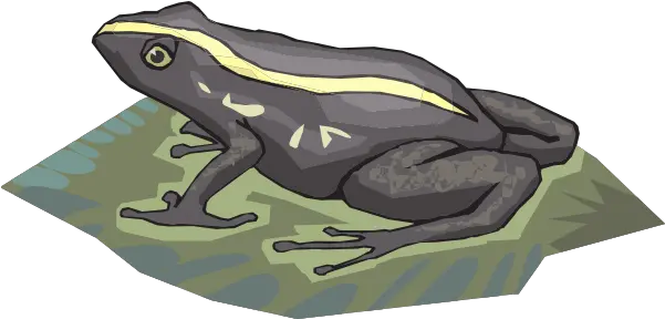 Transparent Frog Amphibians Png Lily Pad Png