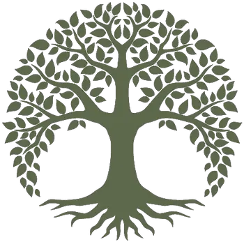 Mystery Irish Memorial Tree Png Tree Of Life Icon