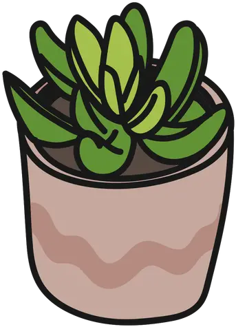 Plants Succulents Green Tranquil Suculentas Png Plant Cartoon Png