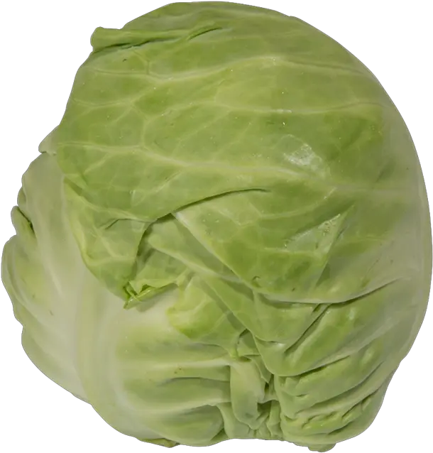 Cabbage Th Clements Iceburg Lettuce Png Cabbage Transparent