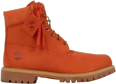 Dtlr X Timberland 6 Png Transparent Timbs