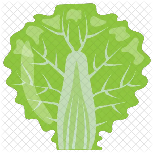 Lettuce Leaf Icon Of Flat Style Lettuce Png Lettuce Png