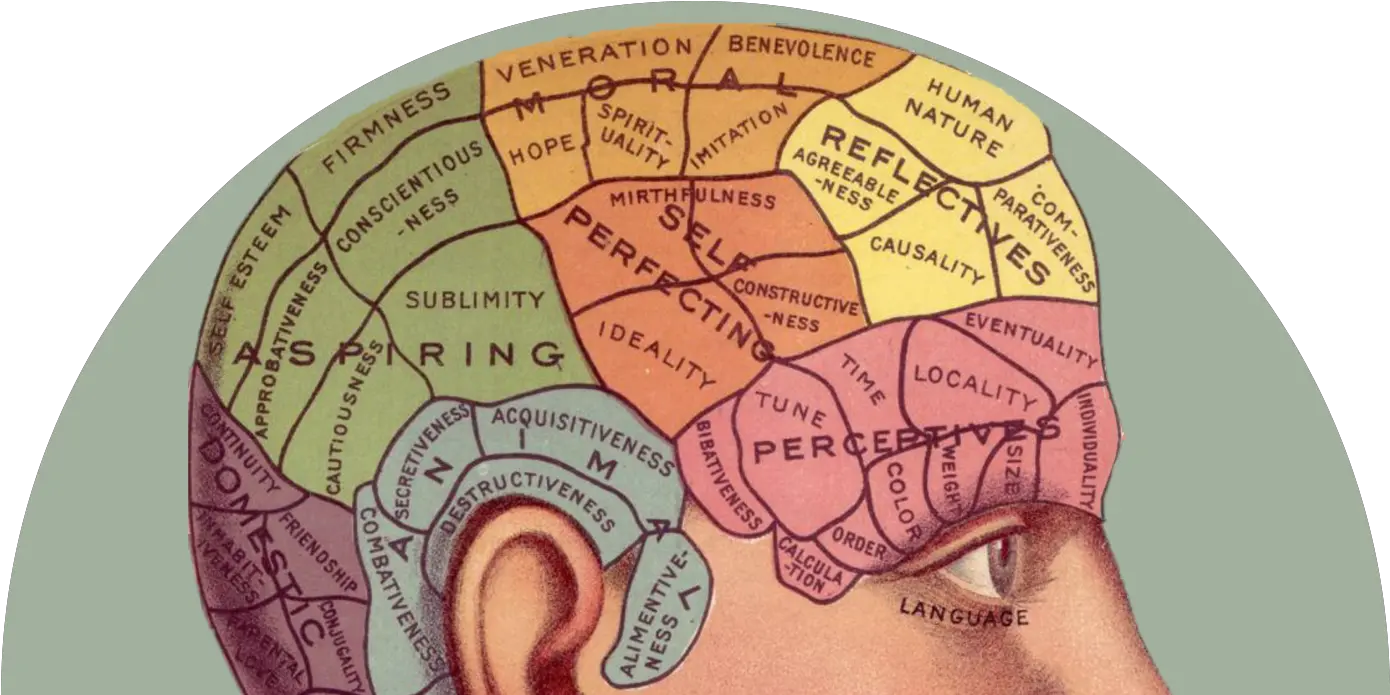 Hacking The Human Mind And Behavior Part 1 Understanding Human Psychology Brain Mapping Png Human Brain Png