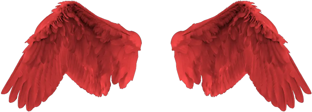 Download Red Angel Wing Png Image With No Background Red Angel Wings Png Wing Png