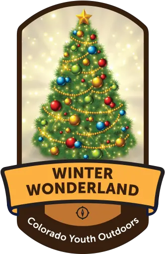 Welcome Colorado Youth Outdoors Winter Wonderland Colorado Youth Outdoors Christmas Lights Png Winter Wonderland Png