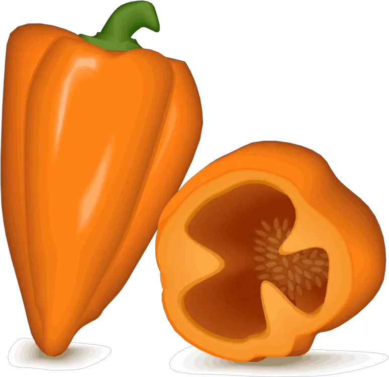 Gourdsuperfoodbell Pepper Png Clipart Royalty Free Svg Png Chile Habanero Dibujo Png Bell Pepper Png