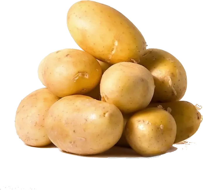 Free Potato Png Transparent Download Clip Art Png Image Of Onion Potato Potato Transparent