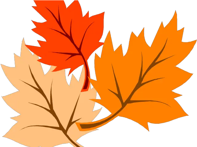 Autumn Border Png Autumn Leaves Clipart Corner Border Hojas De Otoño Dibujo Autumn Leaf Png