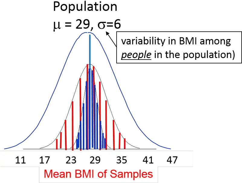 Variability In Means Obtained From A Sample Diagram Png Bell Curve Png