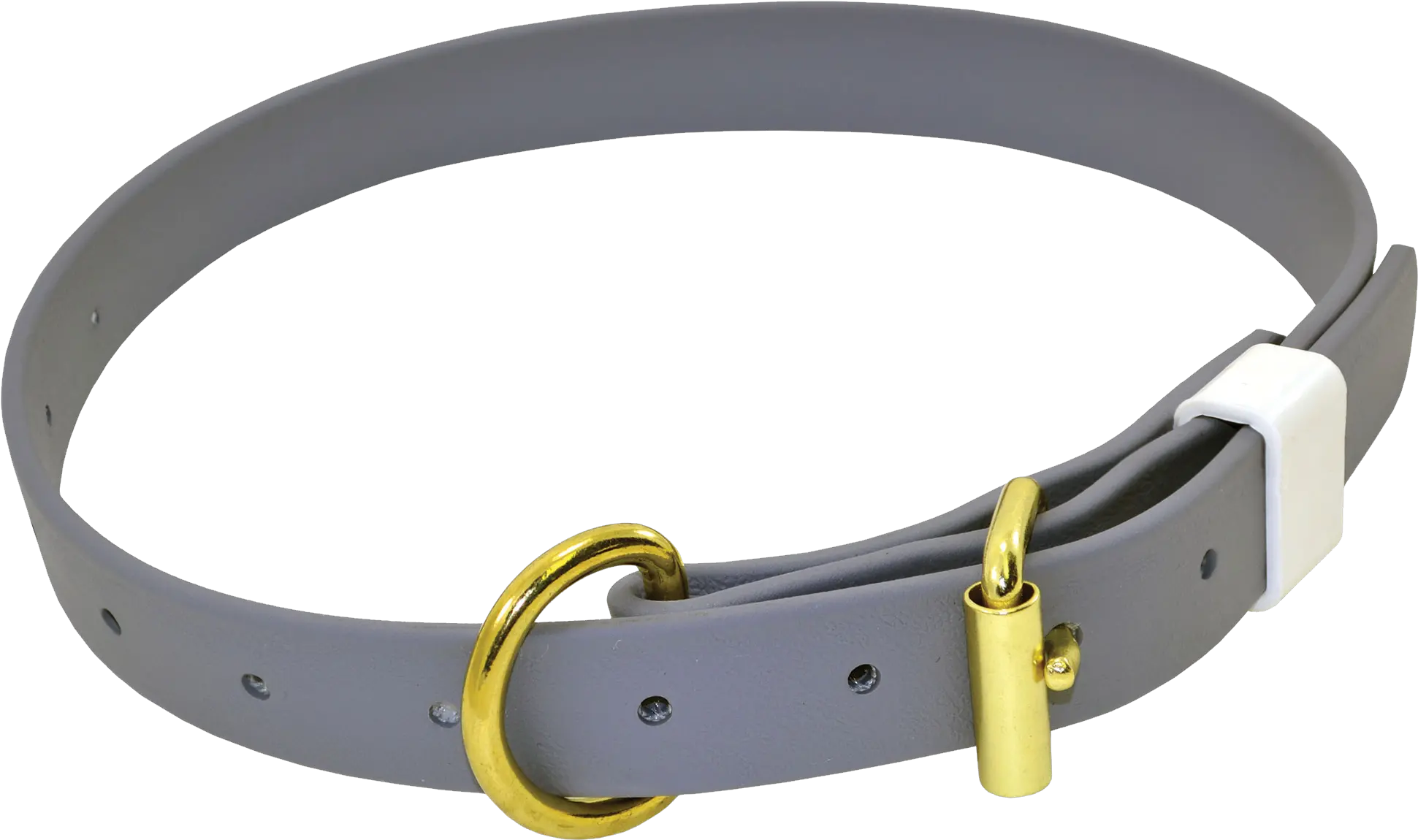 Grey Dog Collar Gold Metal Belt And Dog Collar Transparent Background Png Belt Transparent Background