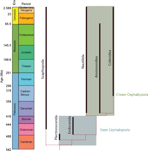 Geol 204 The Fossil Record Tree Of Life Reconstructing Statistical Graphics Png Direct Ancestor Icon