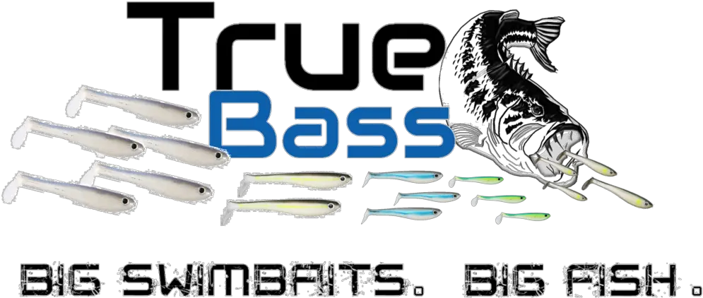 True Bass Swimbaits U2013 Fishing True Bass Swimbaits Png Bass Fish Png