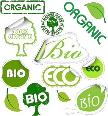 Imajinasi Tangan Jahil Gambar Dan Tatto Ecologic Icons Clip Art Png Organic Logos