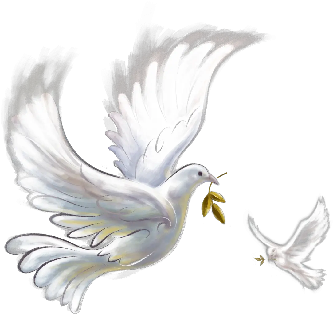 Download Pigeon Png Image With No Background Pngkeycom Peace On Earth Happy Christmas 2019 Pigeon Png