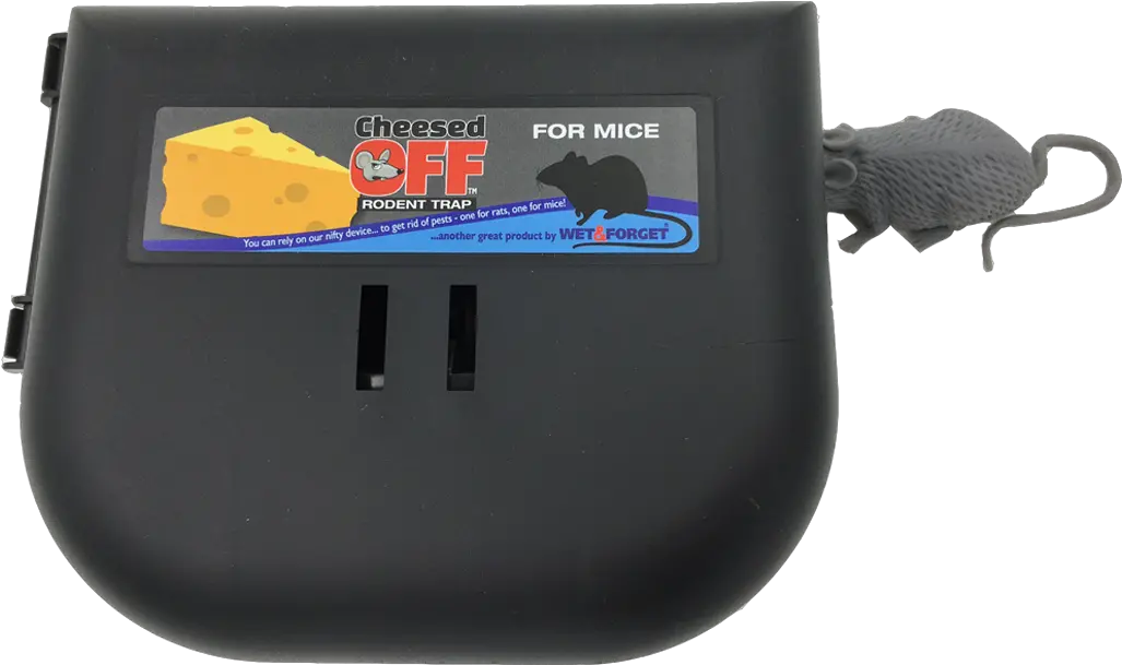 Cheesed Off For Mice Mouse Control Rodent U2013 Wet Mp3 Player Png Rats Png