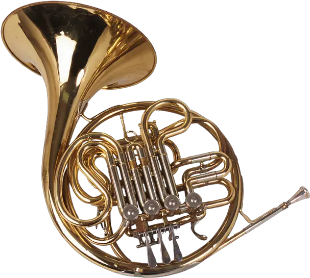 French Horns Trumpet Musical Instruments 855186 Png 5 Main Brass Instruments Trumpet Png