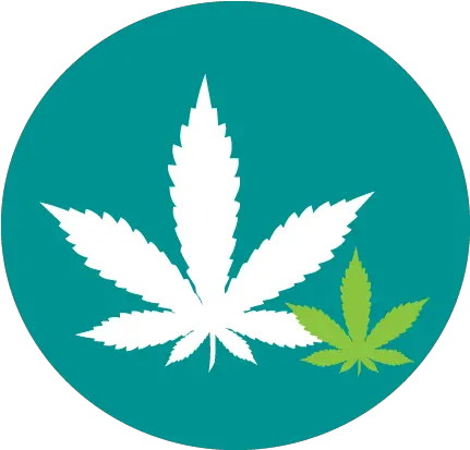 Cannabis North Bay Parry Sound District Health Unit Marijuana Leaf Png Marijuana Leaf Transparent