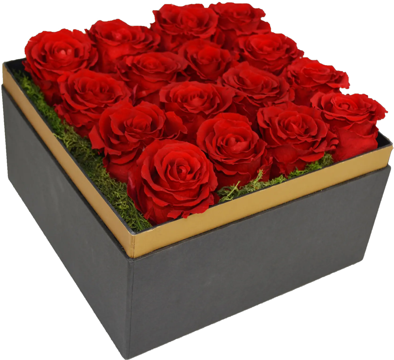 Beautifully Preserved Roses From Luxe Bloom Official Rose Floribunda Png Beauty And The Beast Rose Png