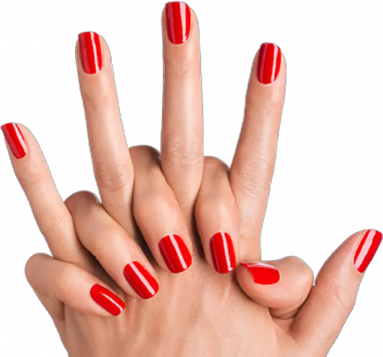 Nails Color Png Image Png Nail Polish Png