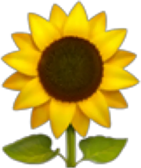 Sunflower Emoji Aesthetic Freetoedit Emojis Flower Png Sunflower Emoji Png