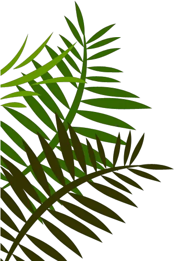 Download Hd Jungle Leaves Png Image Easy Simple Bottle Art Jungle Leaves Png