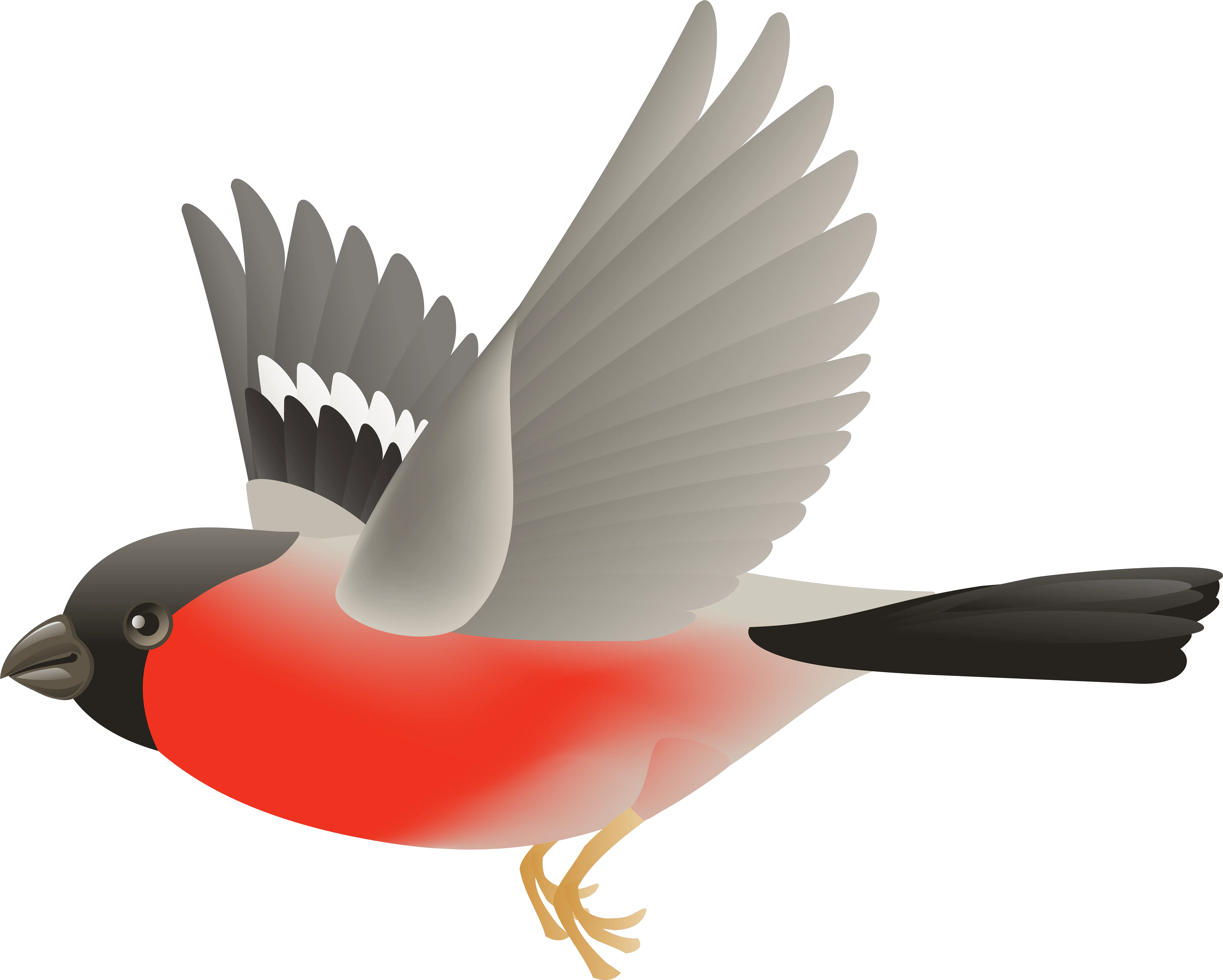 Library Of Bird Flying Picture Black Png Fly Transparent Background
