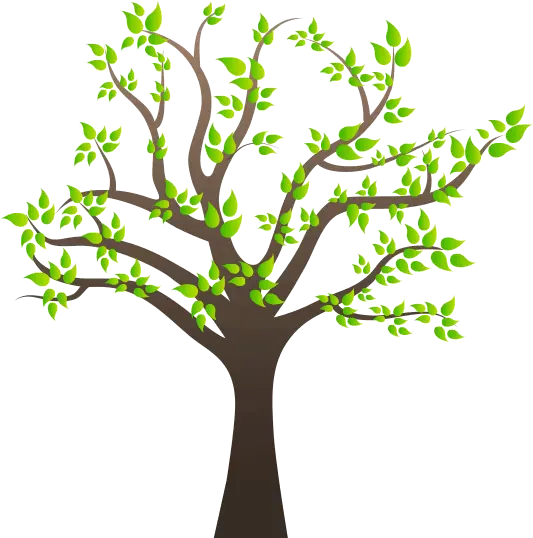 Family Tree Clipart Png Tree Clip Art Png Plant Clipart Png