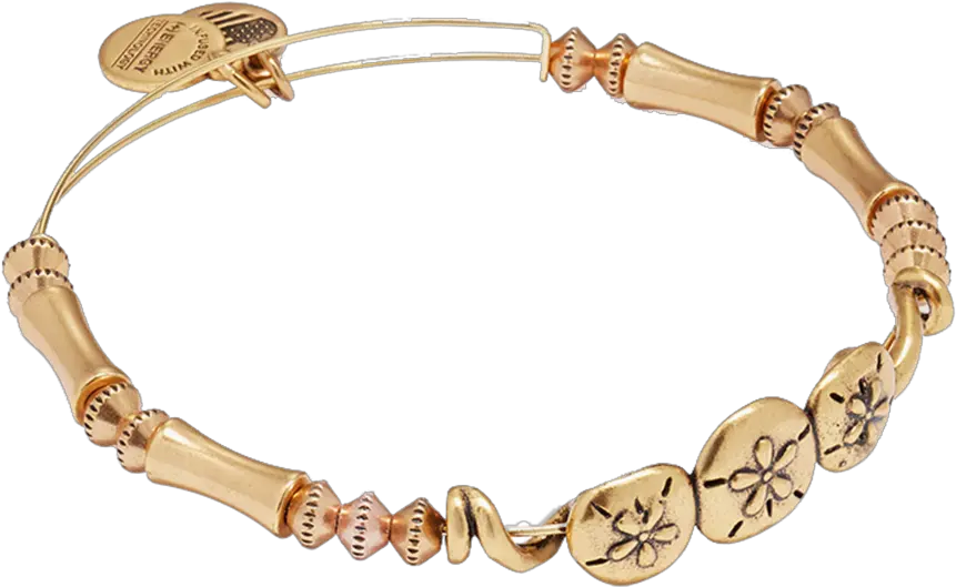 Alex And Ani Sand Dollar Bangle Kay Png Icon