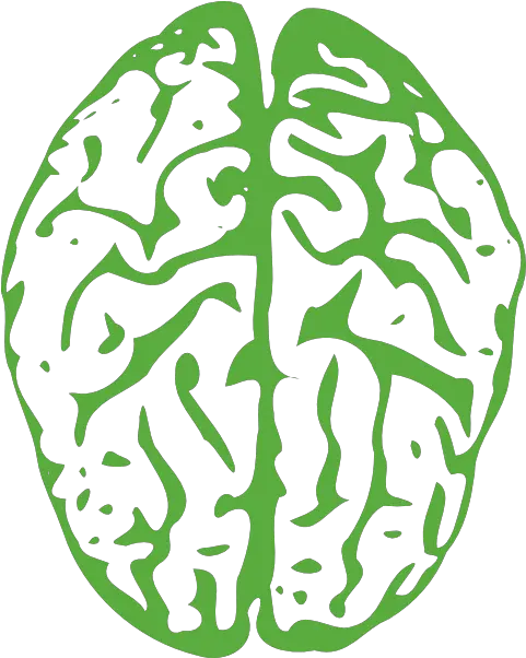 Brain Png Brain Clipart Transparent Background Brain Transparent Background