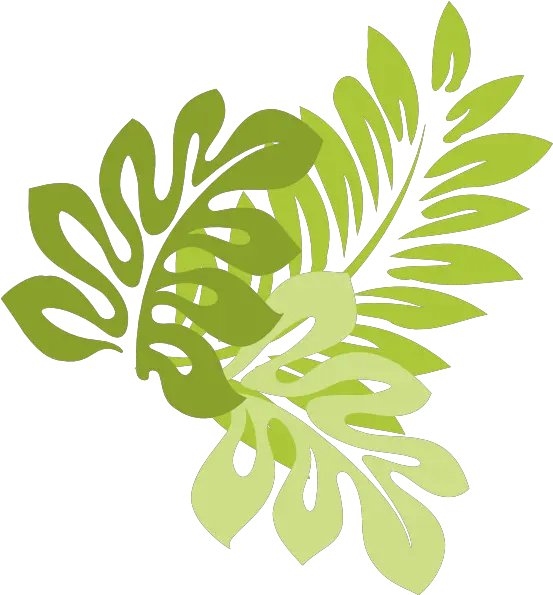 Download Hd Jungle Leaves Jungle Leaves Vector Png Hibiscus Clip Art Jungle Png