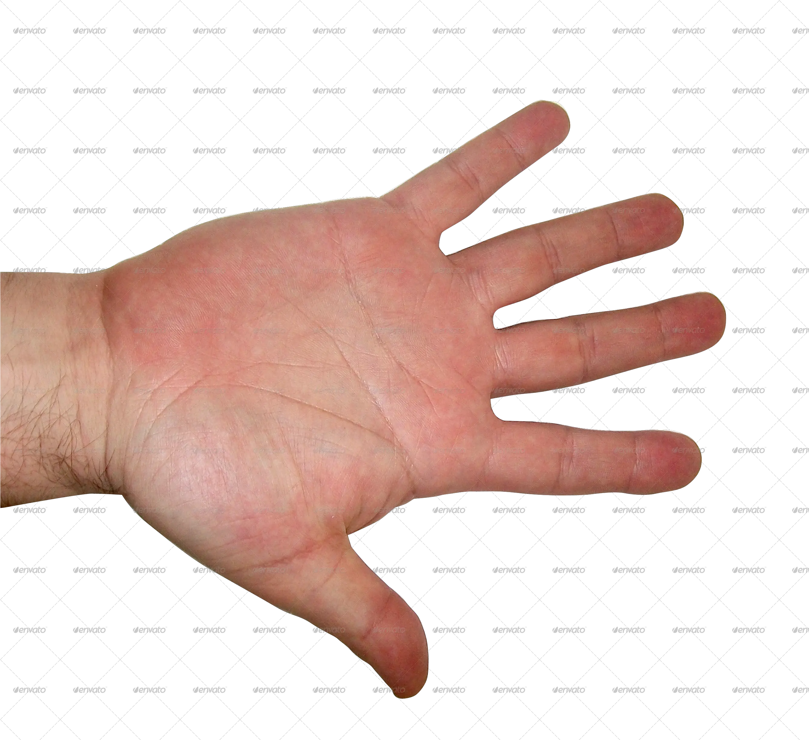 Download Human Hand Png Transparent Png Png Images Human Hands Transparent Skeleton Hand Png