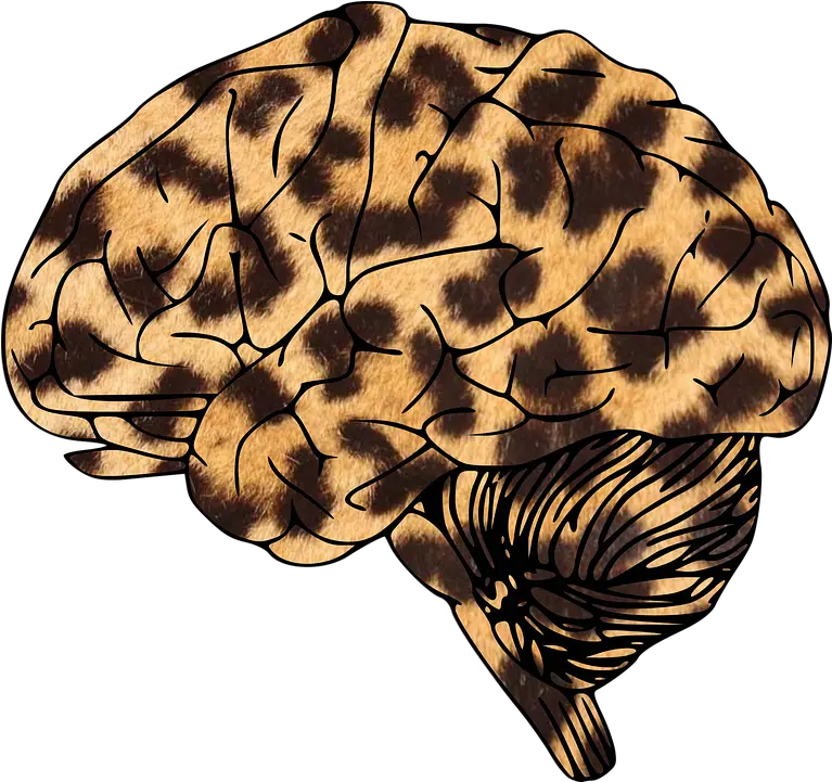 Brain Leopard Animal Png Print