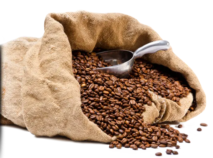 Coffee Beans Png Picture Web Icons Five Pawns Black Flag Risen Beans Png