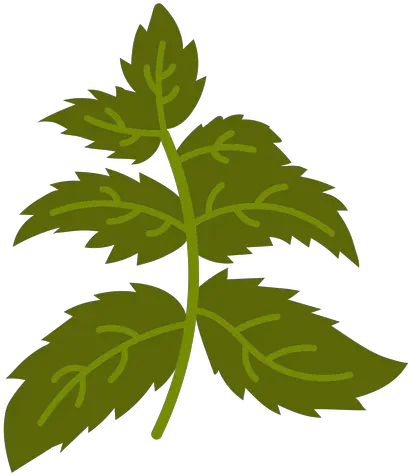 Small Plant Flat Transparent Png U0026 Svg Vector Fines Herbes Cilantro Icon