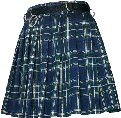 Polyvore Skirt Png Skirt Png