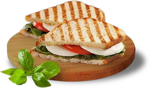 Download Grilled Sandwich Png Panini Png Image With No Sandwich Png Top View Sandwich Png