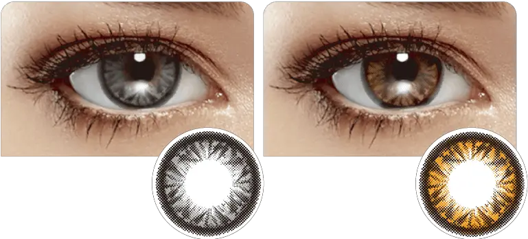 Miacarecontact Lenses Miacare Monthly Contact Lens Png Brown Eyes Png