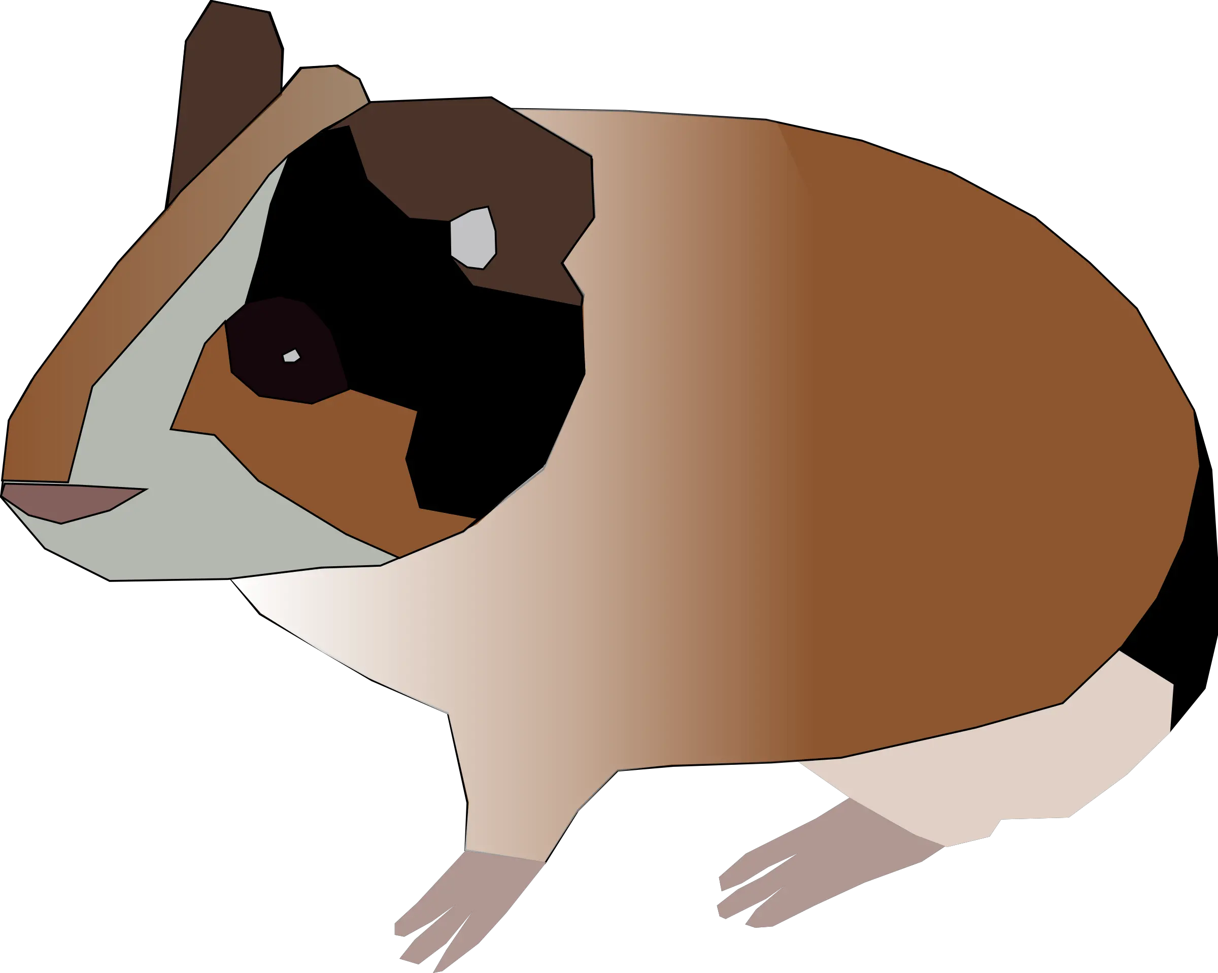 Hamster Png Svg Clip Art For Web Download Clip Art Png Tiny Guinea Pig Clip Art Png Hamster Png