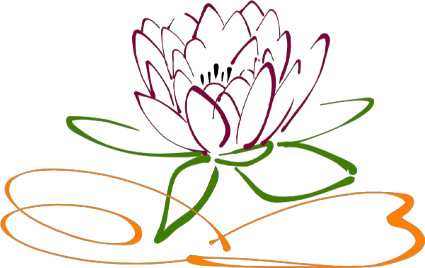 Free Png Download Lotus Flower Vector Images Background Lotus Flower Line Art Lotus Transparent Background