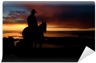 Cowboy Silhouette Wall Mural U2022 Pixers We Live To Change Horse Png Cowboy Silhouette Png