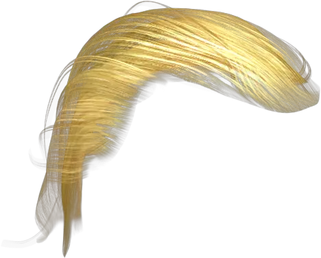 Yellow Hair Transparent U0026 Png Clipart Free Download Ywd Trump Hair Png Hair Png
