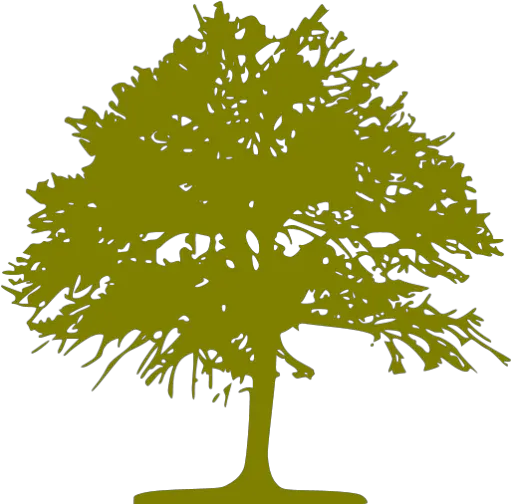 Olive Tree 46 Icon Free Olive Tree Icons Raw And Cold Extracted Honey Sidr Png Olive Tree Png