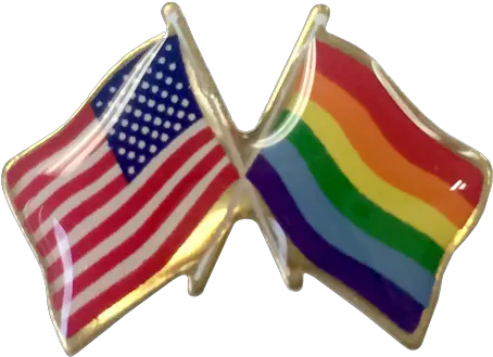 Pride Lapel Pin Waving Flag W Gay Pride Lapel Pin Png Gay Pride Flag Png