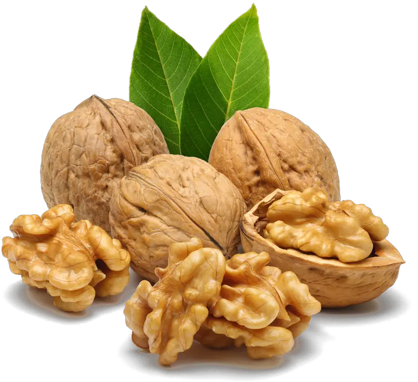 Nut Free Png Image Arts Walnut Png Nuts Png