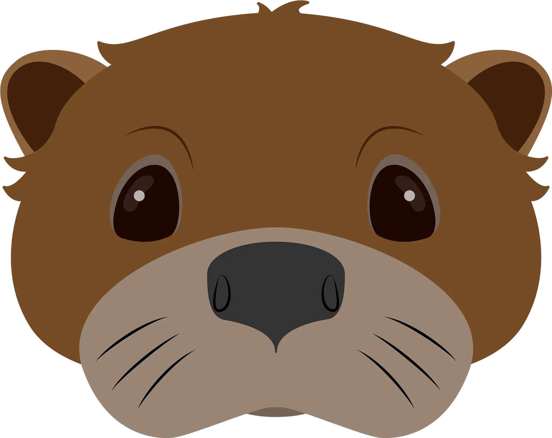 Otter Face Clipart Free Download Transparent Png Creazilla Happy Otter Png